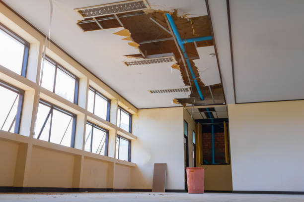 Best Mold removal after water damage  in West Middlesex, PA