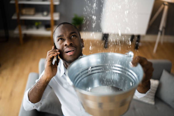 Best Sewage cleanup and water damage restoration  in West Middlesex, PA