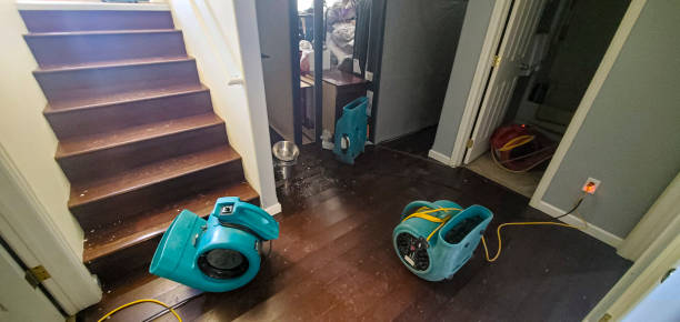 Best Fire Damage Restoration  in West Middlesex, PA