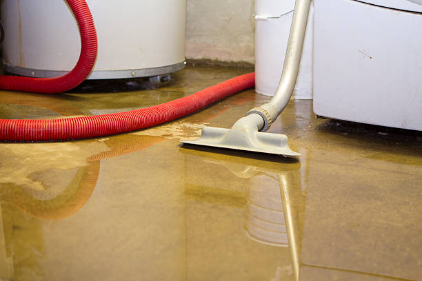  West Middlesex, PA Water damage restoration Pros
