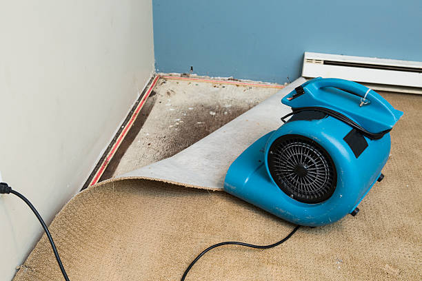 Best Basement water damage restoration  in West Middlesex, PA